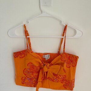 Caroline Constas Orange Crop